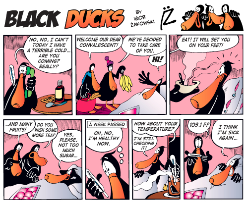 Black Ducks Redux